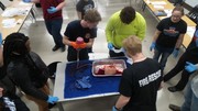 Stop the Bleed Training - Students using gauze with fake blood being pushed through to simulate the process.